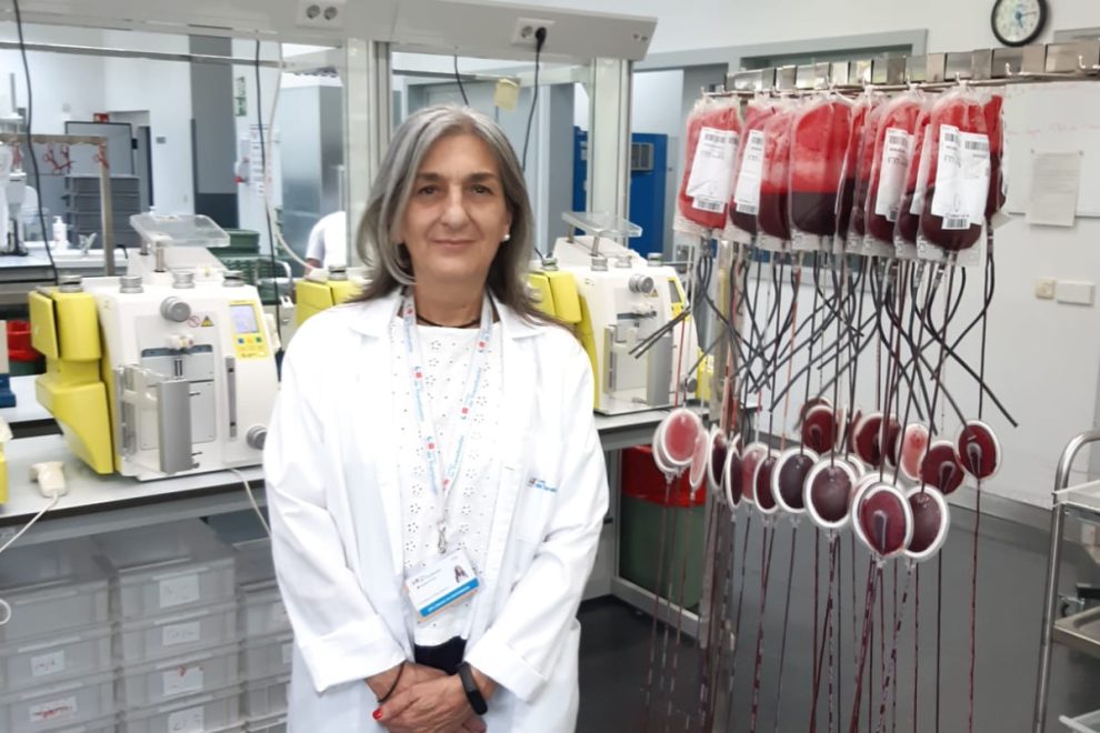 WhatsApp Image 2024-06-28 at 09.01.57